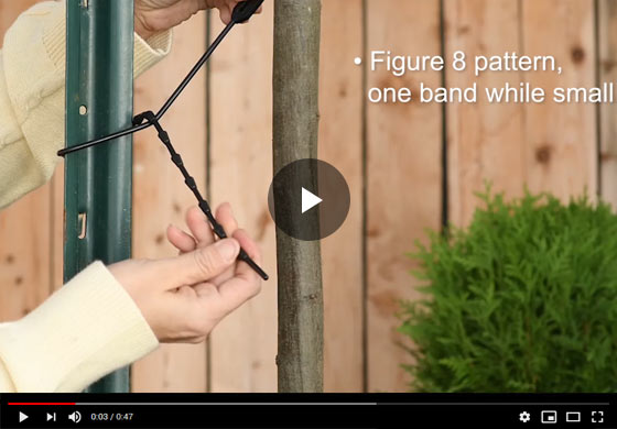 How to use Adjustable Plant Ties Video