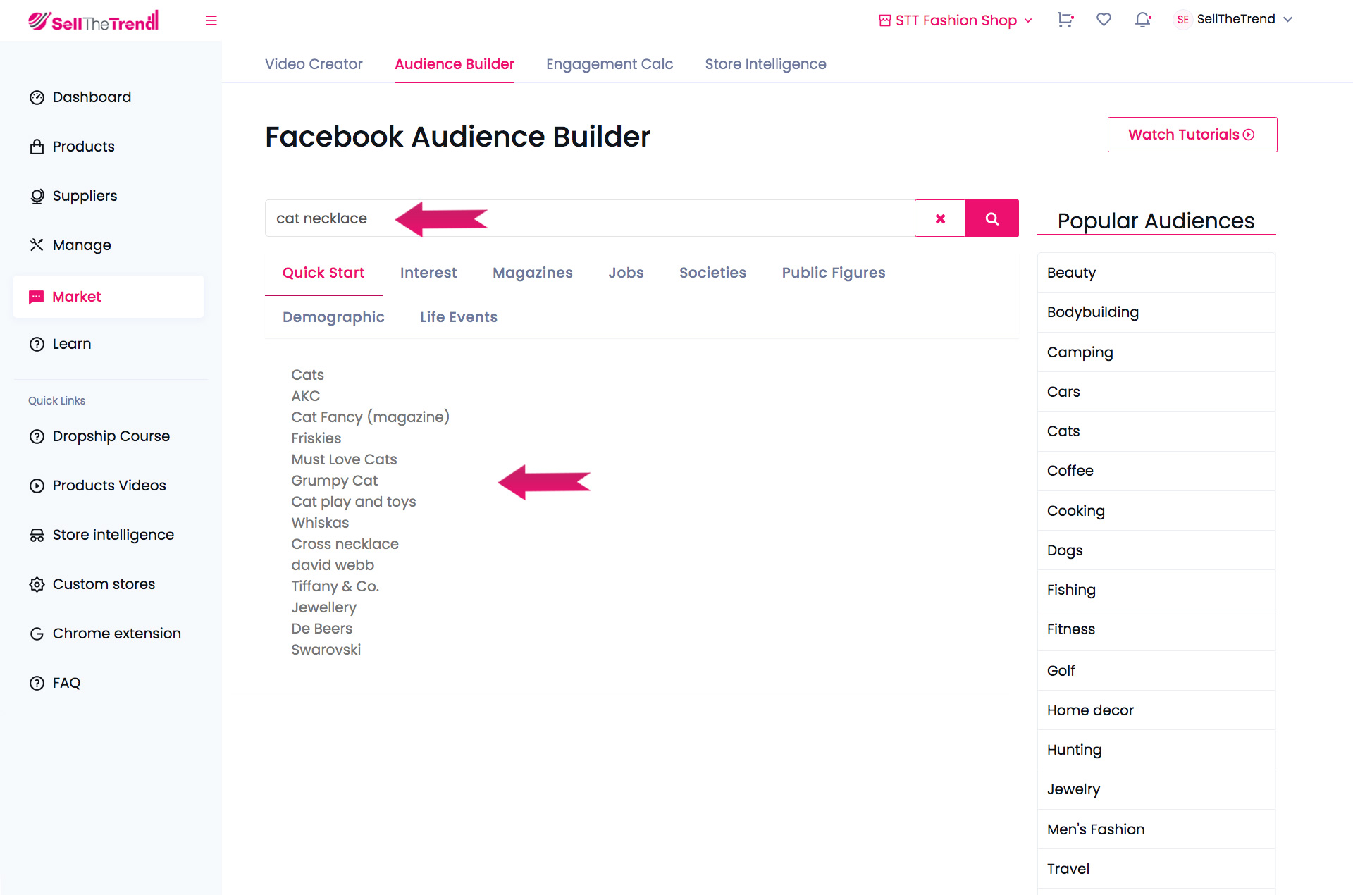 facebook audience builder