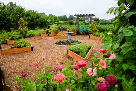 The raised bed garden, combining edibles and ornamentals