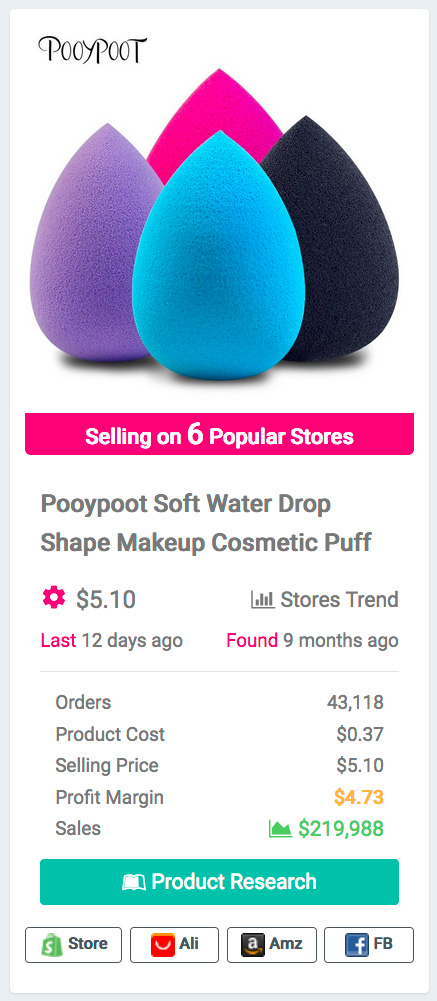 Foundation Sponge