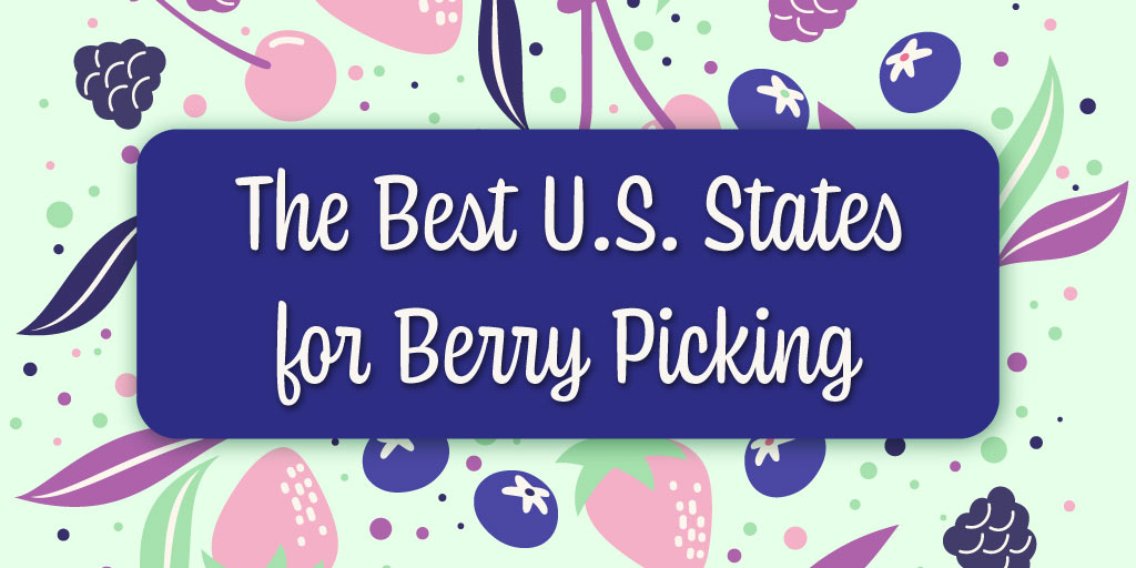 Best Berry Picking Places by US State