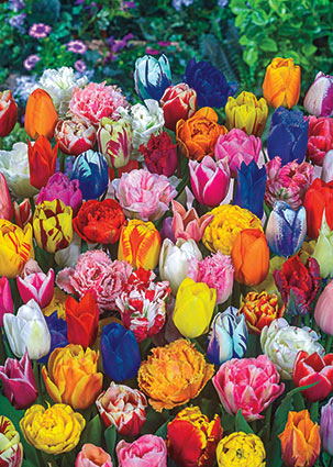 Gurney's Perennials Bulbs and Flowers