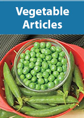 Vegetable Articles